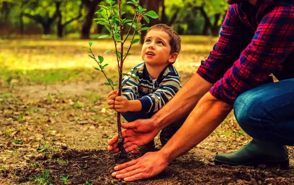 انقلابی در پاییز: ۷ درخت میوه که با کاشت آنها ثروتمند می‌شوید!