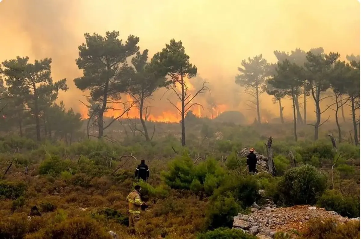 الیت عمدا به آتش کشیده شد + جزئیات