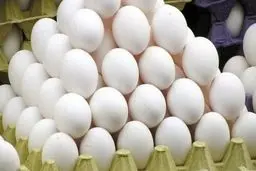 چشم‌ها گرد شد! قیمت تخم مرغ سفید اعلام شد: شوک به سفره مردم
