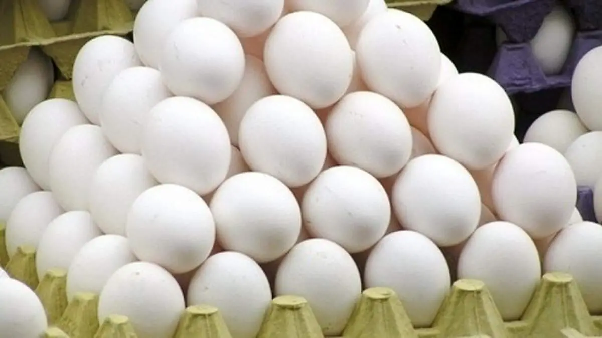 چشم‌ها گرد شد! قیمت تخم مرغ سفید اعلام شد: شوک به سفره مردم