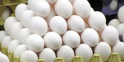 فاجعه در آشپزخانه‌ها: قاشق چنگال یکبار مصرف، سفره‌ها را به سرطان می‌کشاند!