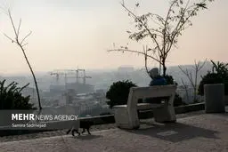 تهران زیر پلوس؛ بیخیالی مسئولین یا بازی با جان مردم؟