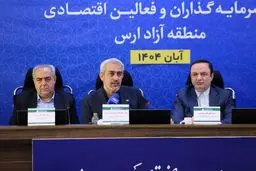 مناطق آزاد زیر تیغ جراحی اقتصادی: تخصص‌گرایی یا بحران؟