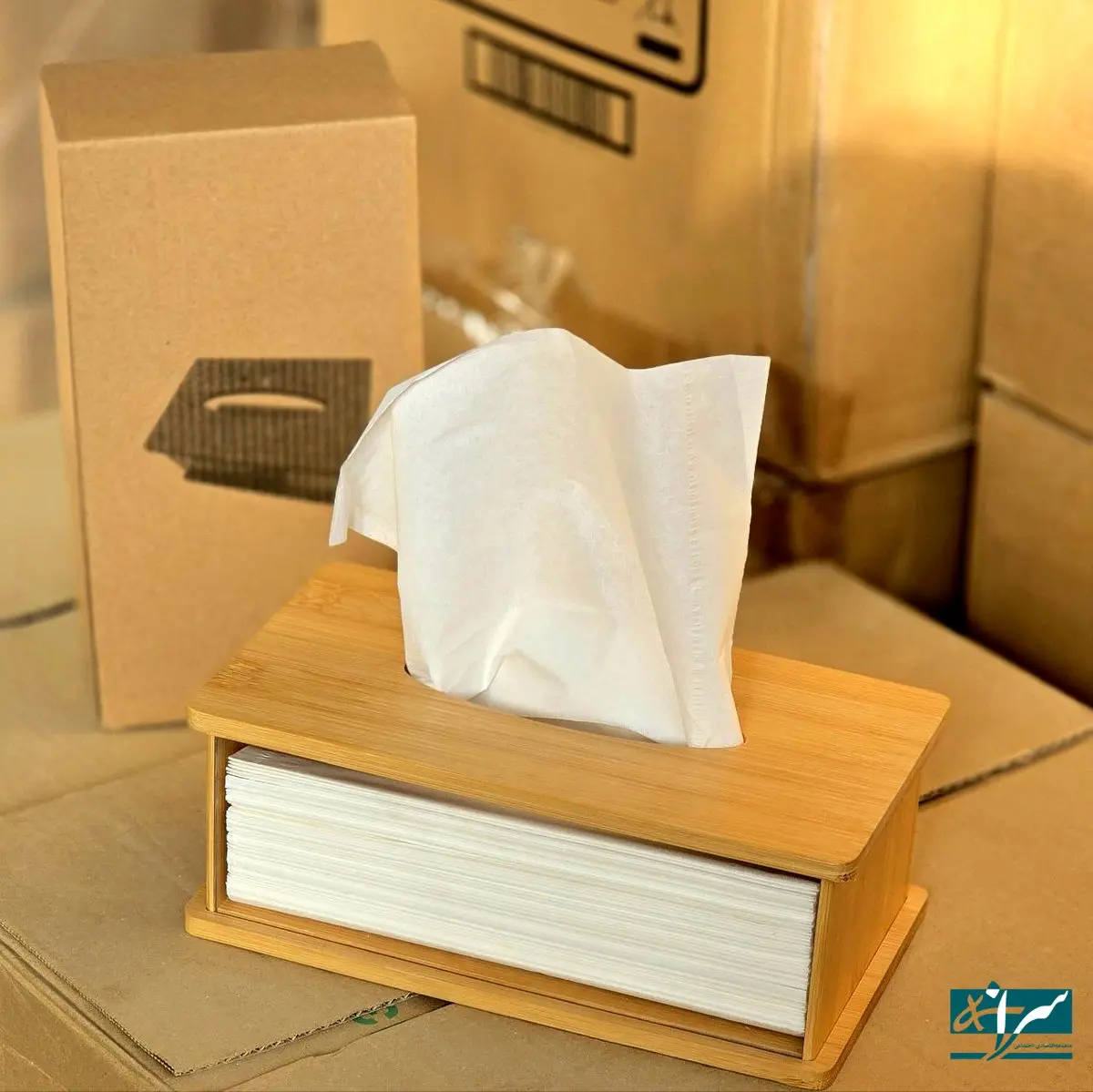 هر برگ دستمال کاغذی به ۱۰۰۰ تومان رسید