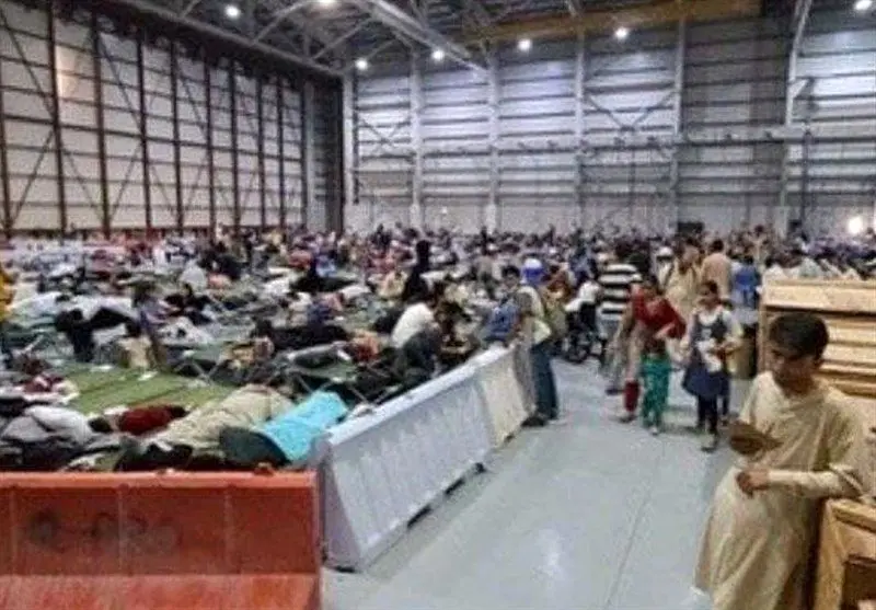 آمریکا پناهجویان افغان را 'می‌خرد'؟ جنجال بر سر پیشنهاد نقدی واشنگتن!